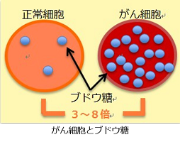 がん細胞とブドウ糖