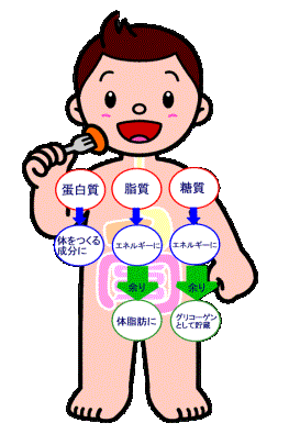 めーじず　健康な人