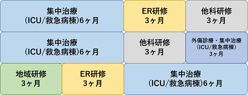 研修モジュール　済生会宇都宮病院　集中治療コース