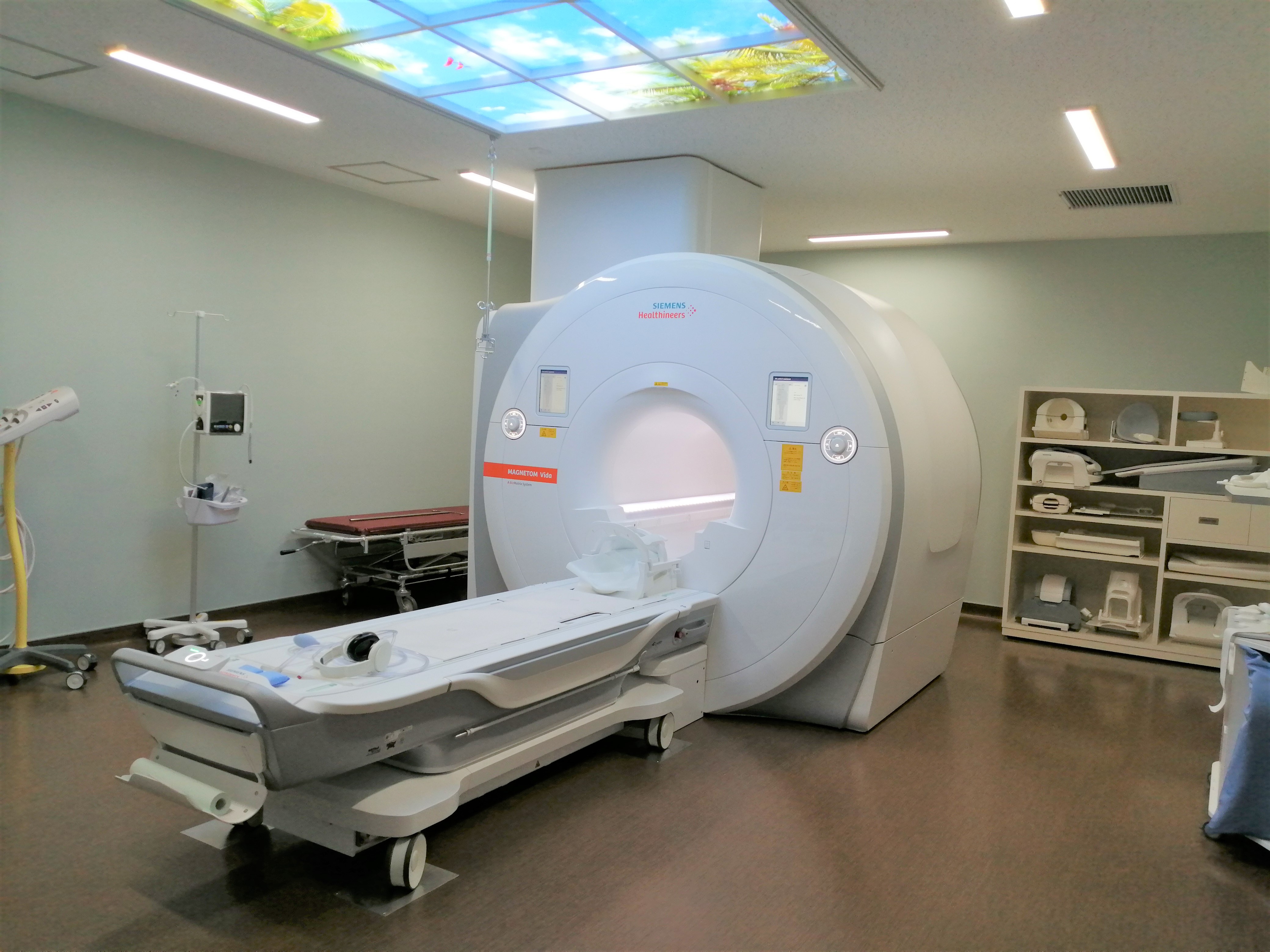 写真　MRI1